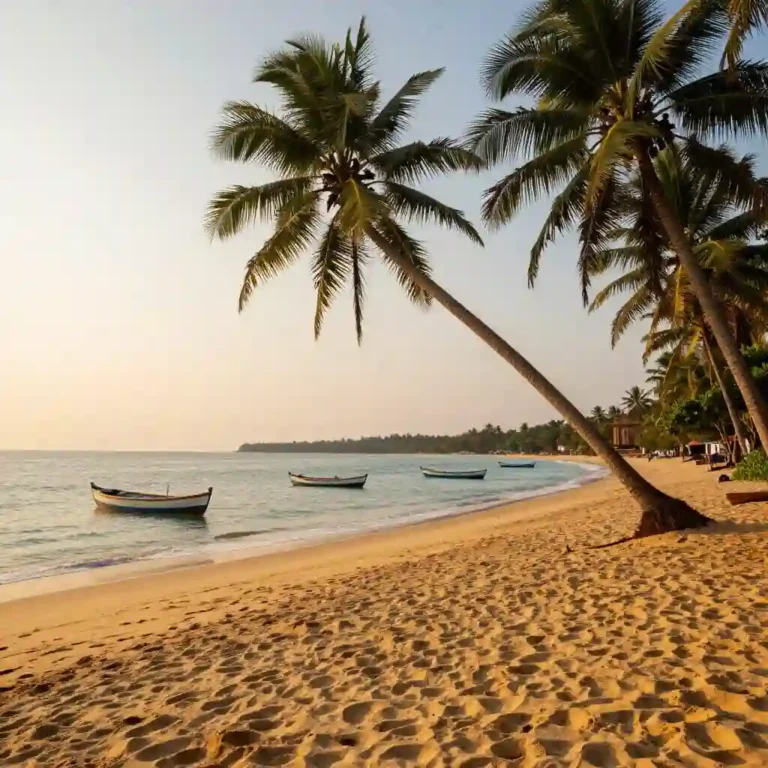 Illustration : Goa : les plus belles plages et lieux à découvrir en Inde